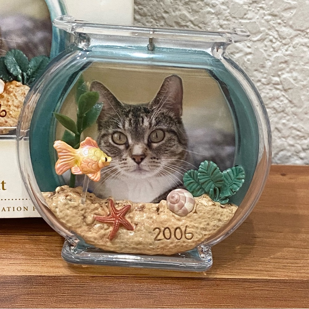 2006 HALLMARK Keepsake Special Cat Christmas Tree Ornament